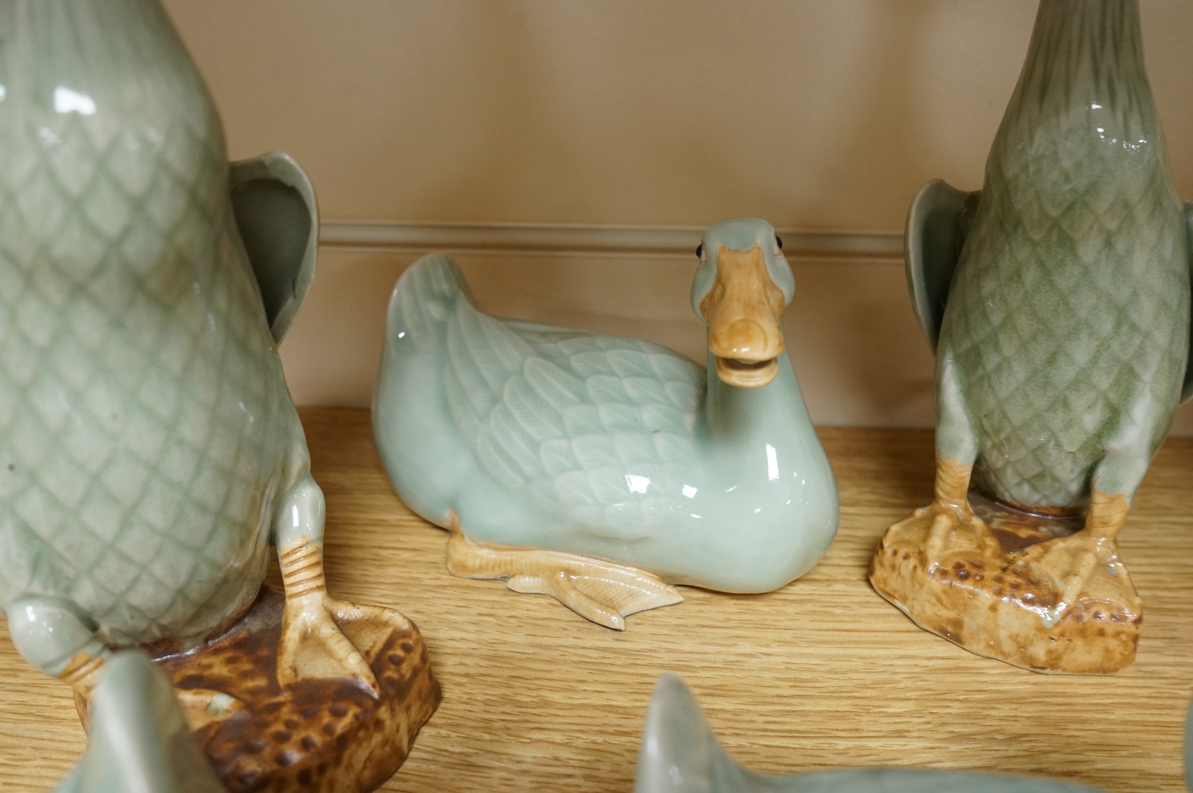 A collection of Chinese celadon glazed models of geese and ducks, largest 31cm high
